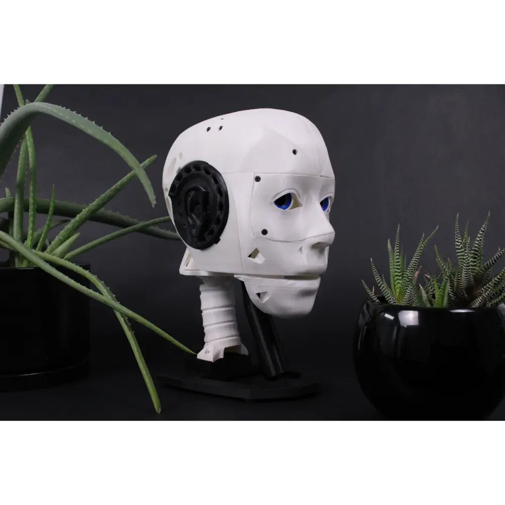 EZ-InMoov Advanced Robotic Head Kit - RobotShop, image size:1000x1000
