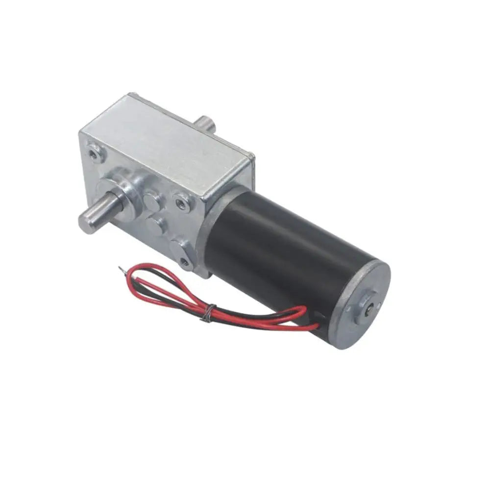 High Torque 24V 295RPM Double Axis Worm Gear Motor 5840-31ZY