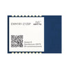 EWM181-Z12SP(R) Router ZigBee 3.0 Wireless Module Network Self-healing Equipped with onboard PCB antenna Simple and easy to develop