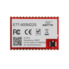 E77-900M22S UART interface LoraWan node module low power consumption support AT commands