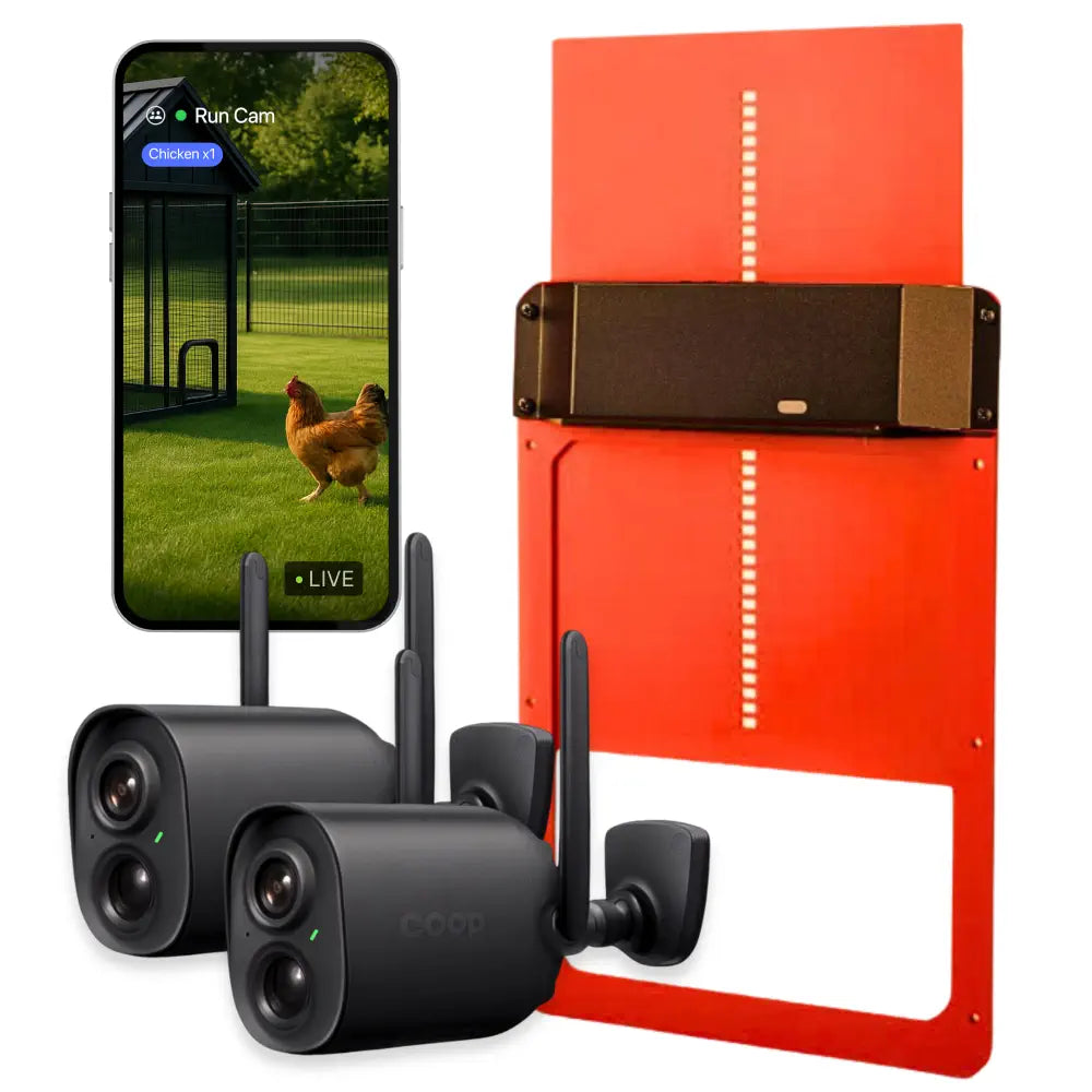 Coop Smart All-in-One Chicken Kit – Includes Automatic Door, and (2) AI CoopCams for 4-6 Chickens, Solar Optional
