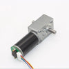 High Torque Dual Shaft 24V 27rpm 5840-31zy Worm Gear Reduction Motor W/encoder