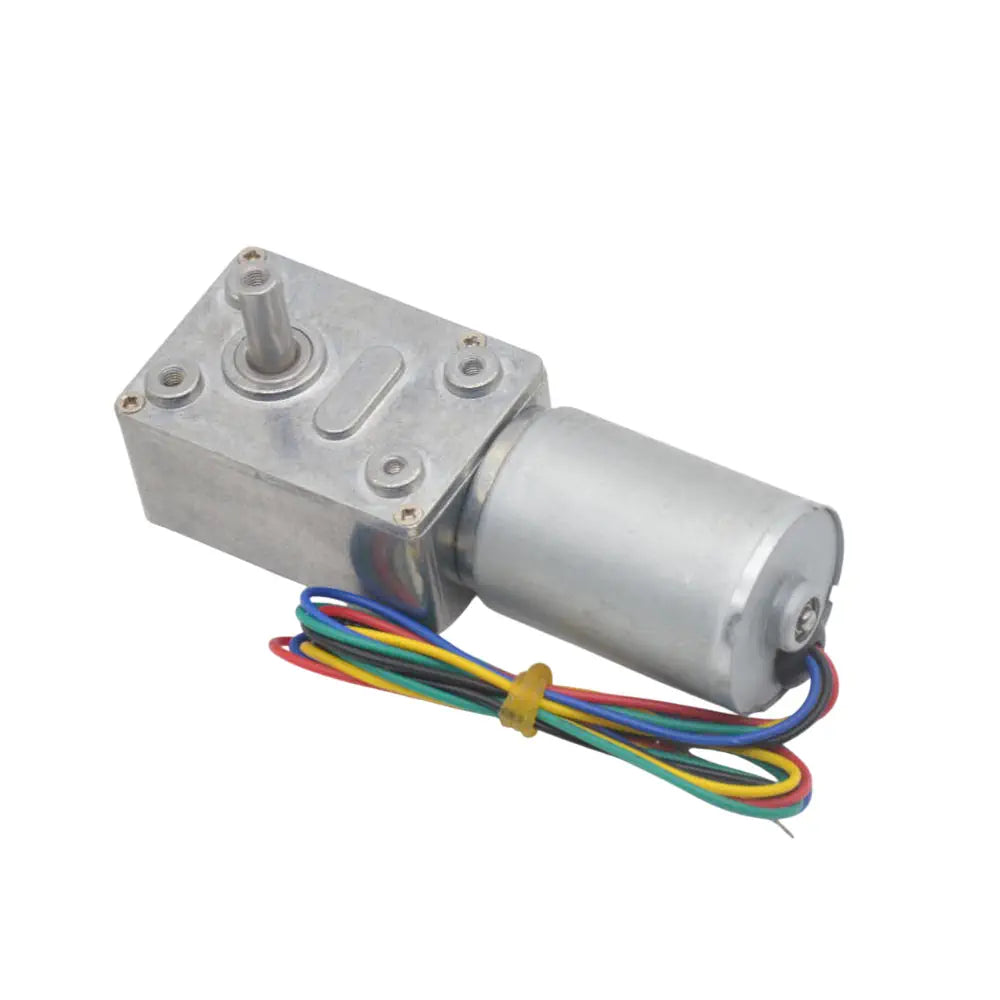 High Torque 2838 Worm Gear Brushless DC Motor 12V 10RPM