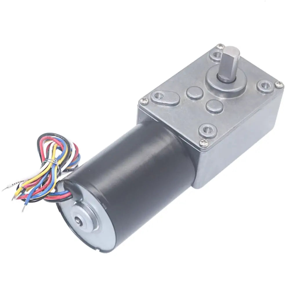 24V brushless worm gear motor 8RPM