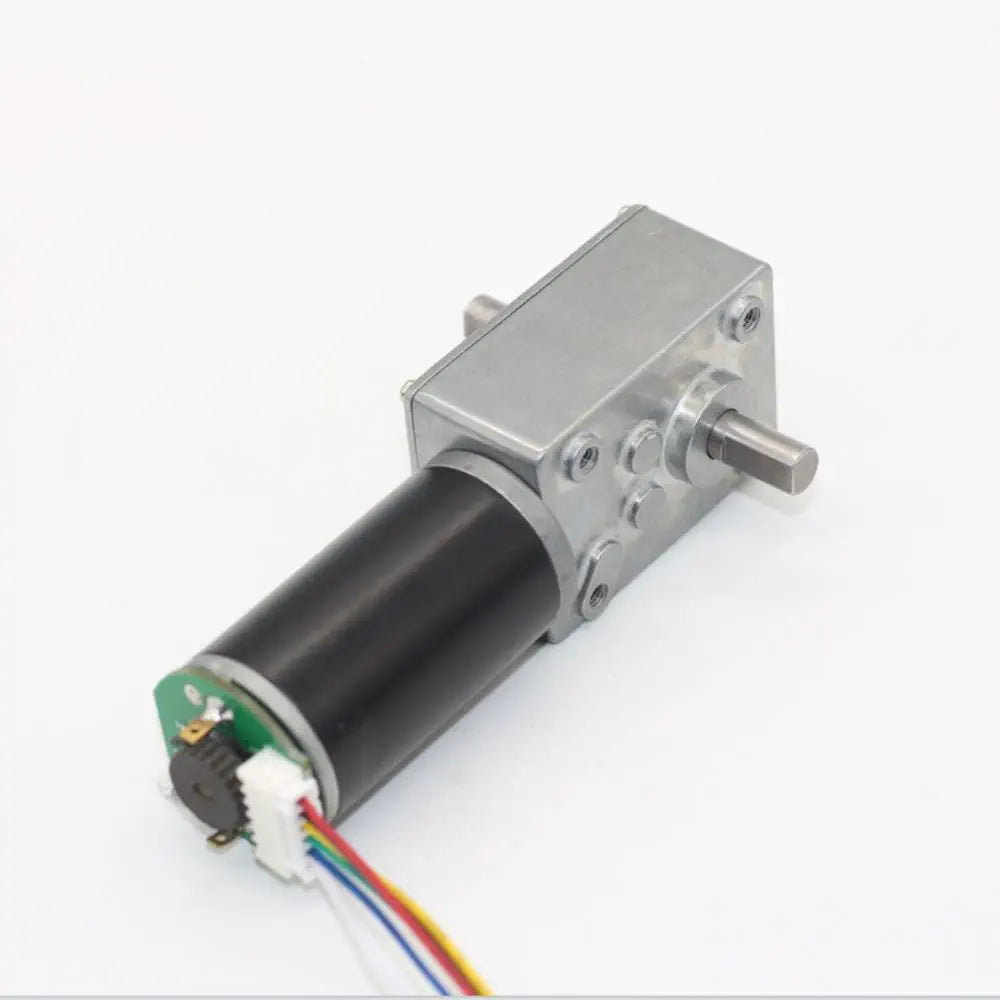 High Torque Dual Shaft 24V 80rpm 5840-32zy Worm Gear Reduction Motor