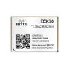 ECK30-T13IA2MN2M-I Embedded core board Cost-effective multi-core processor Dual-core ARM Cortex-A7 RISC-V HiFi4 DSP