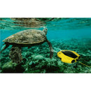 Chasing Dory Underwater Drone Flash Pack