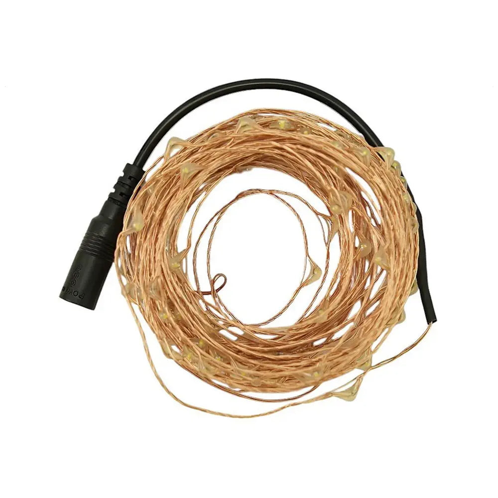 DFRobot Star Series LED Strand - 100 Warm White Pixels