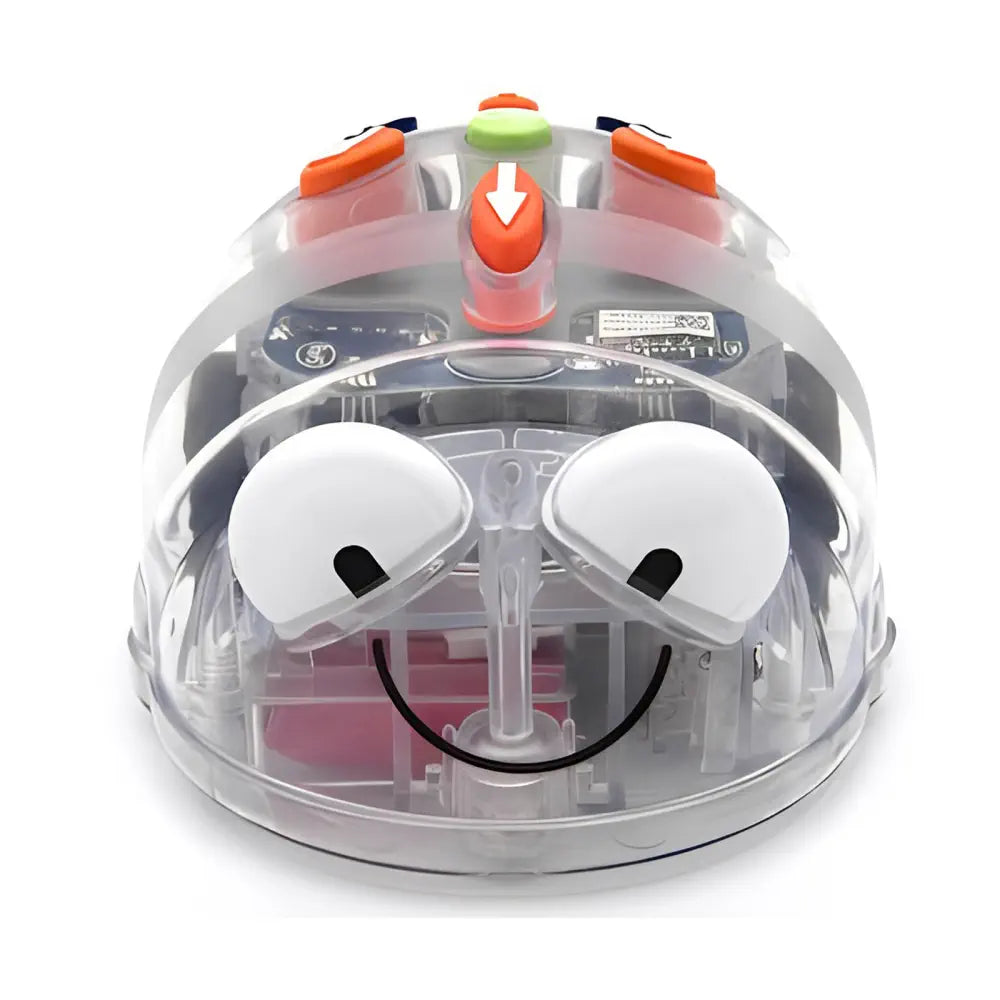 TTS Bee-Bot &amp; Blue-Bot See &amp; Say Robots - 5 Bee-Bots &amp; 1 Blue-Bot Bundle - 256-Step Memory, Audio Feedback, STEM Coding, Classroom &amp; Home Learning - Starter Set