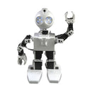 EZ-Robot JD Humanoid Robot
