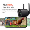 Coop Smart All-in-One Chicken Kit – Includes Automatic Door, and (2) AI CoopCams for 4-6 Chickens, Solar Optional