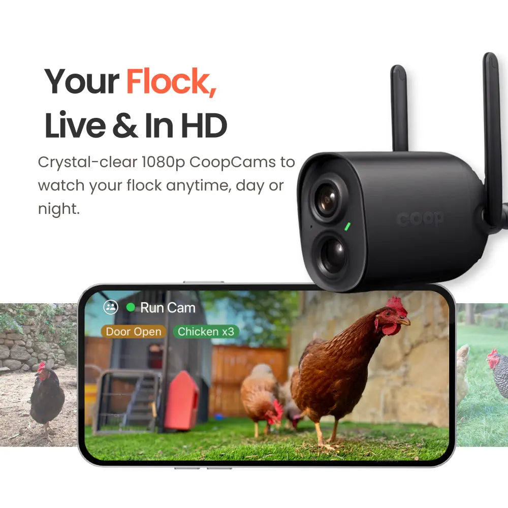Coop Smart All-in-One Chicken Kit – Includes Automatic Door, and (2) AI CoopCams for 4-6 Chickens, Solar Optional
