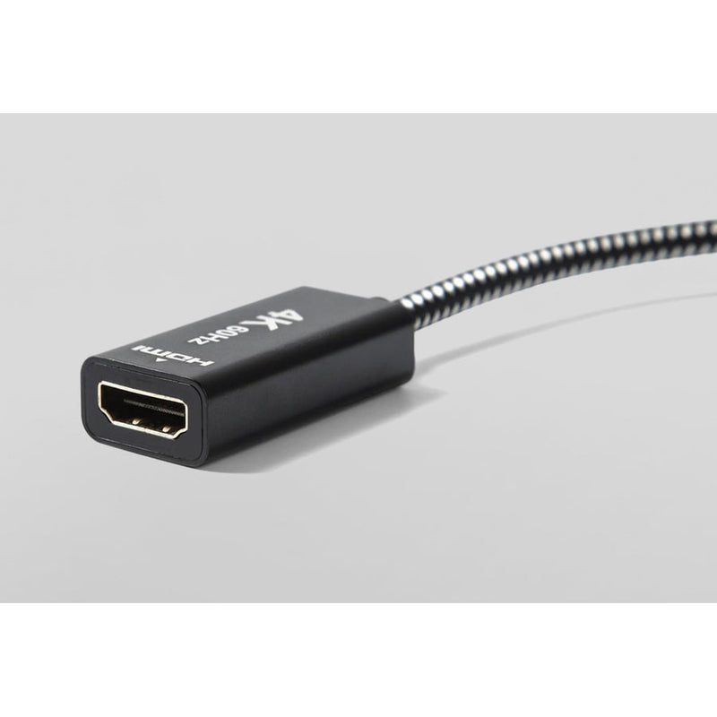 IceWhale Mini DisplayPort Male to HDMI Female Cable 4K 60Hz