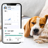 Invoxia Minitailz Biotracker GPS Tag for Dogs