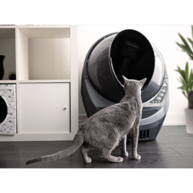 Litter-Robot 3 Connect Automatic Self-Cleaning Litter Box - Grey