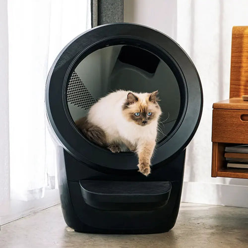 Cheap automatic litter box hot sale