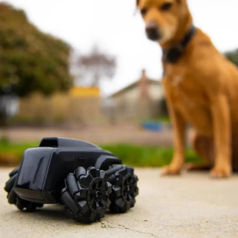 For Sale Moorebot Scout Robot Robotic Vacuum Cleaners North