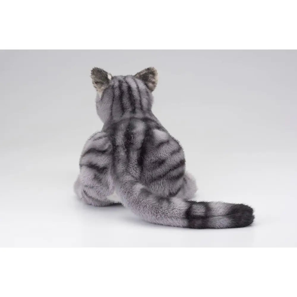 Ninja Cat EX American Shorthair Companion - RobotShop Ninja Cat EX American Shorthair Companion - RobotShop