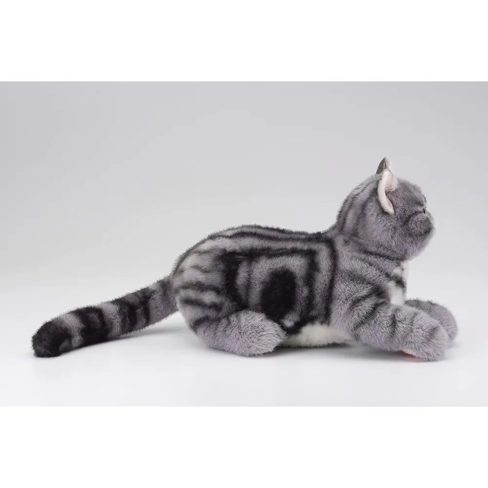 Ninja Cat EX American Shorthair Companion - RobotShop