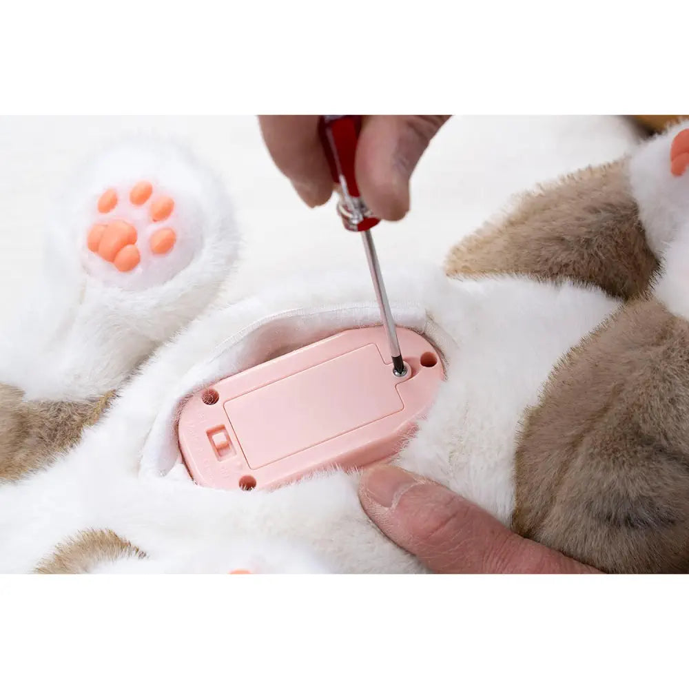 Ninja Cat EX Calico Companion - RobotShop