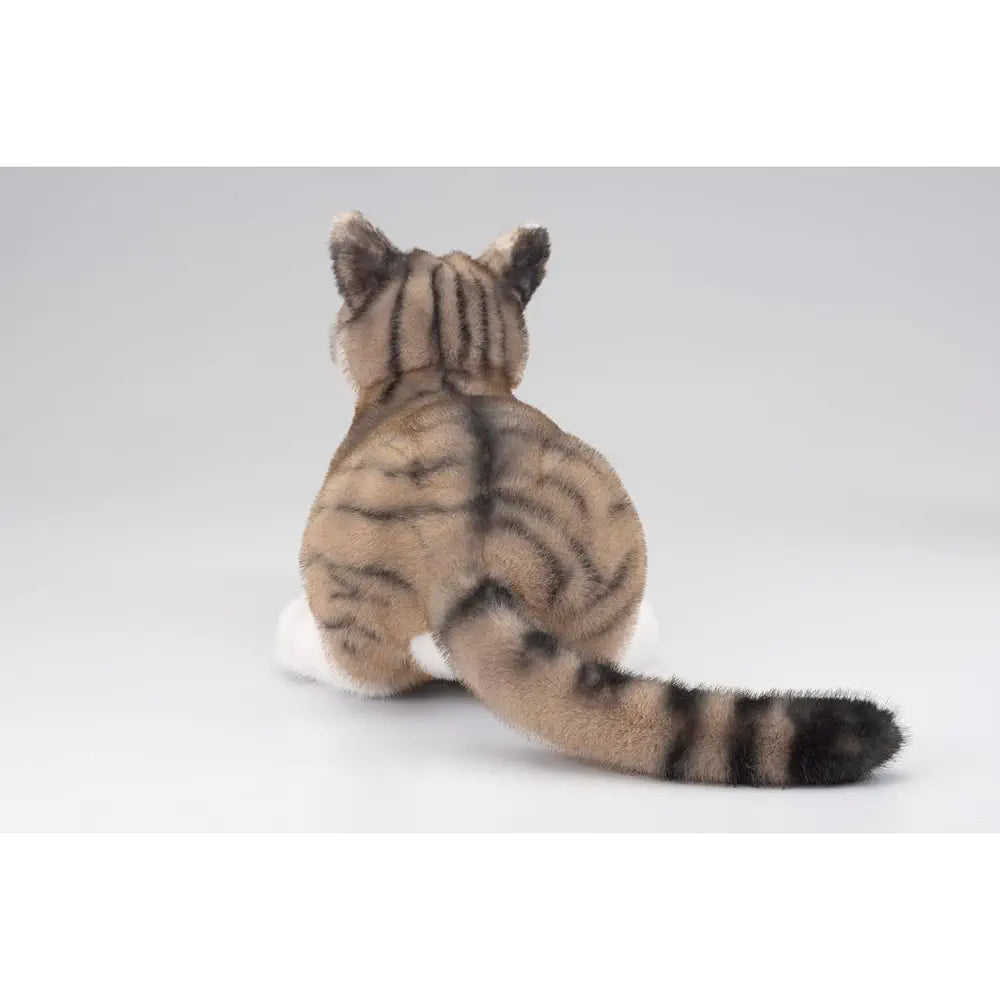 Ninja Cat EX Brown Tabby Pheasant Tiger Companion