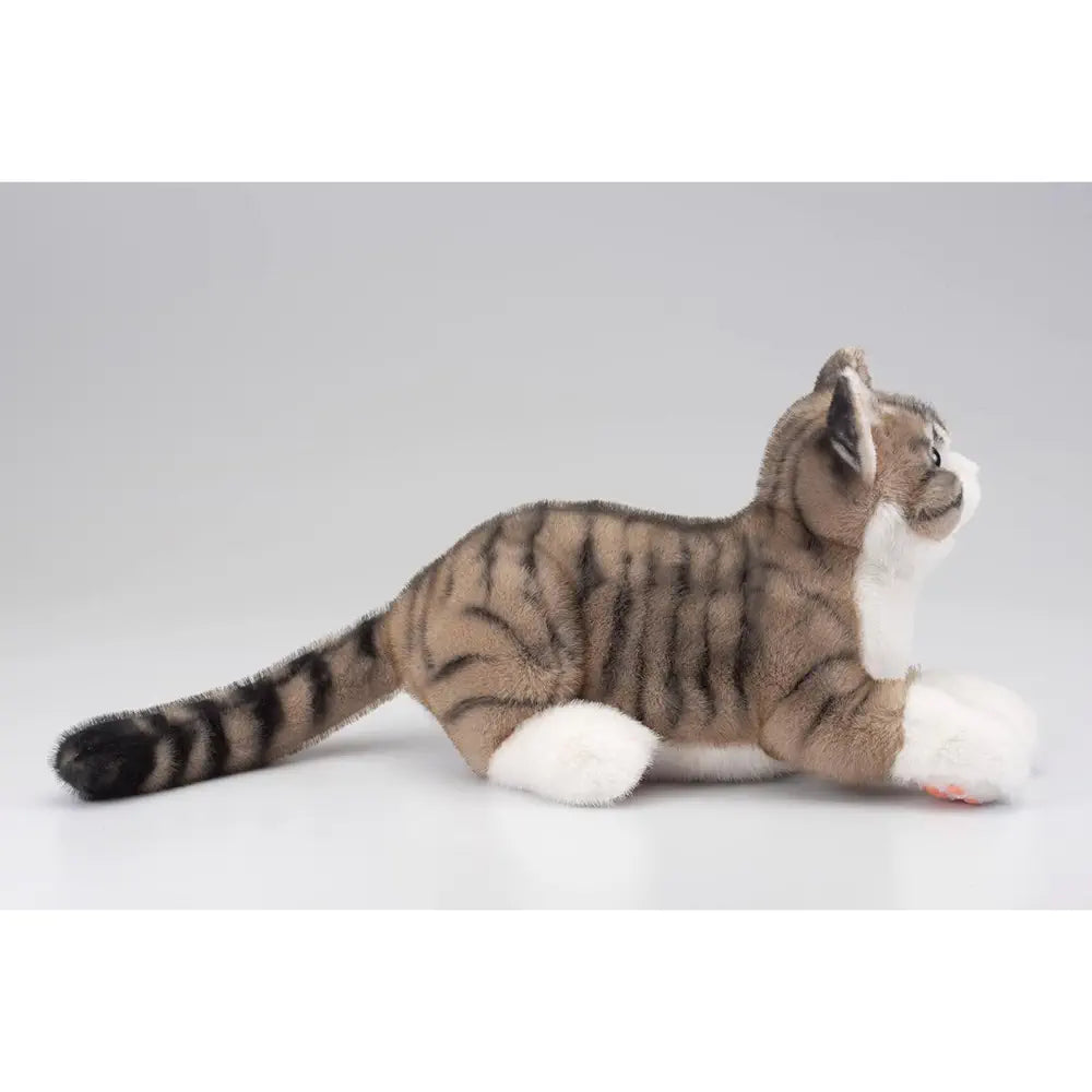 Ninja Cat EX Pheasant Tiger Companion - RobotShop