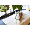 Ninja Cat EX Brown Tabby Pheasant Tiger Companion