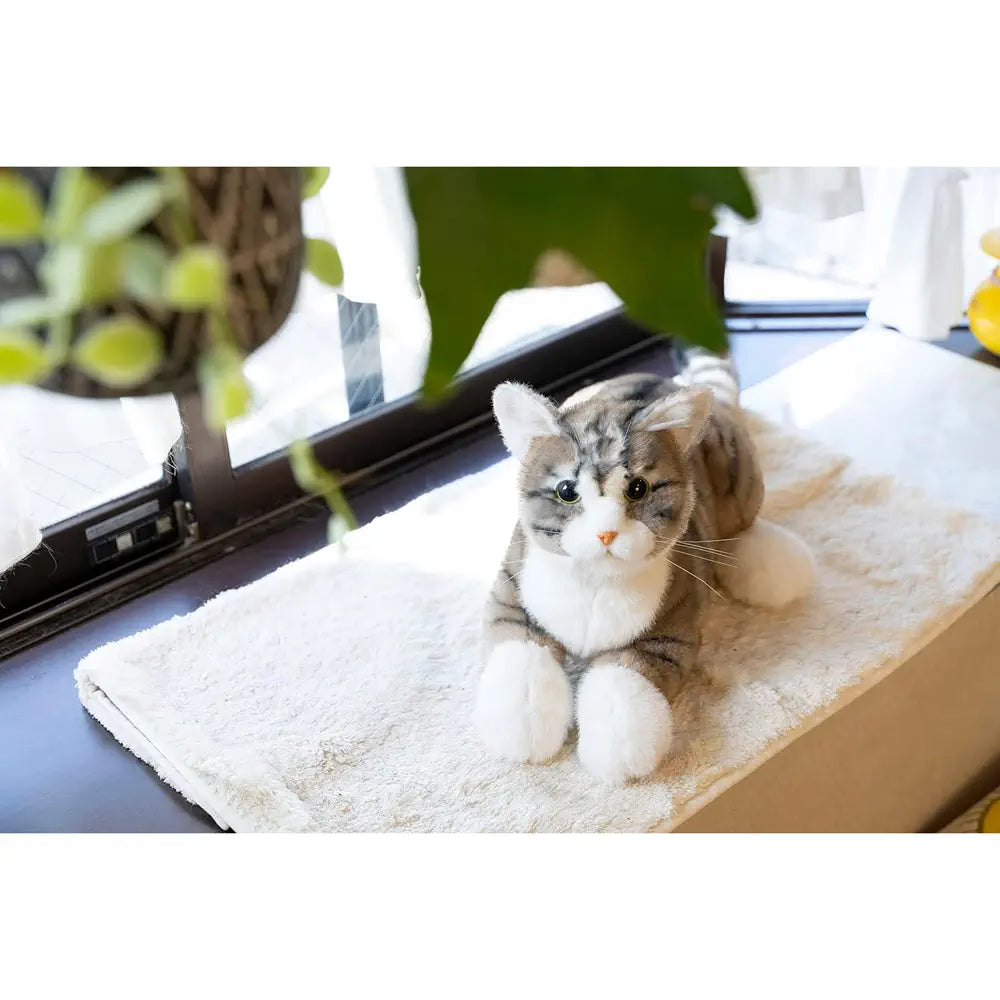 Ninja Cat EX Pheasant Tiger Companion - RobotShop