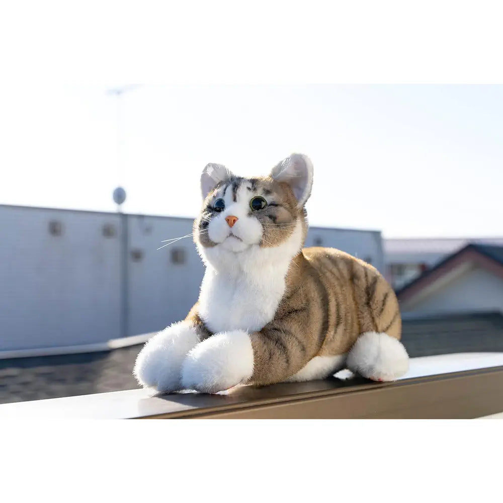 Ninja Cat EX Brown Tabby Pheasant Tiger Companion - RobotShop Ninja Cat EX Brown Tabby Pheasant Tiger Companion - RobotShop