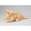 Ninja Cat EX Orange Tabby Companion