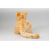 Ninja Cat EX Orange Tabby Companion