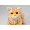 Ninja Cat EX Orange Tabby Companion