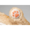 Ninja Cat EX Orange Tabby Companion