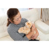 Ninja Cat EX Orange Tabby Companion