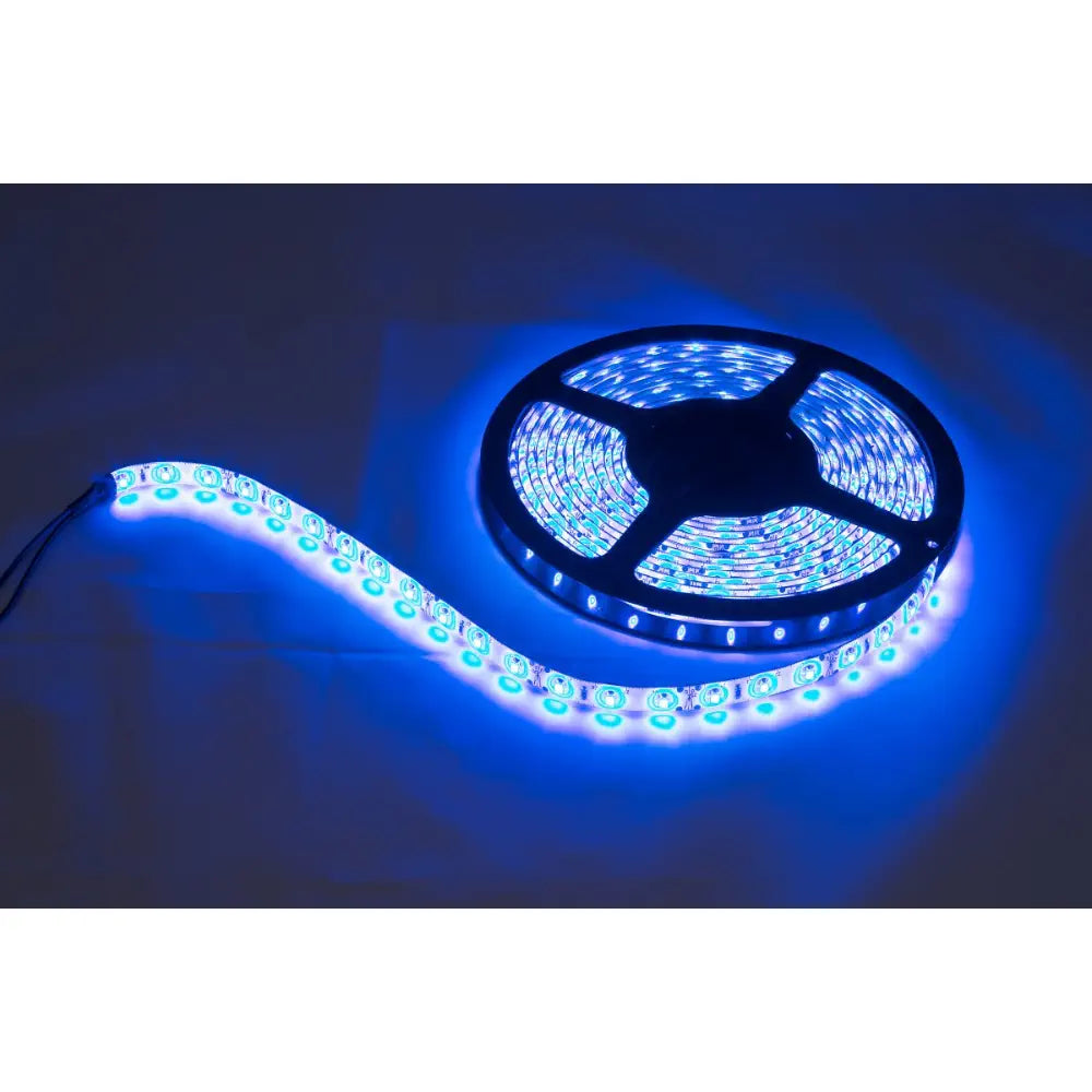 Phidgets Flexible LED Strip Blue (5M) - RobotShop