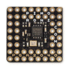 PGA2040 RP2040 Breakout Board