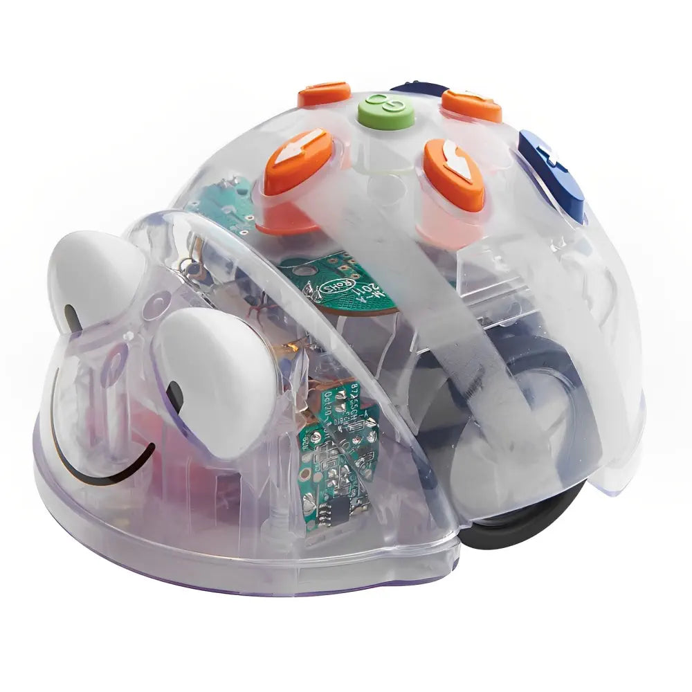 Bee-Bot, Blue-Bot &amp; Rugged Floor Robot See &amp; Say Bundle - Programmable STEM Robots for Classroom &amp; Outdoor Learning, Coding, Sequencing, Control, Memory &amp; Audio Feedback | Ages 3+