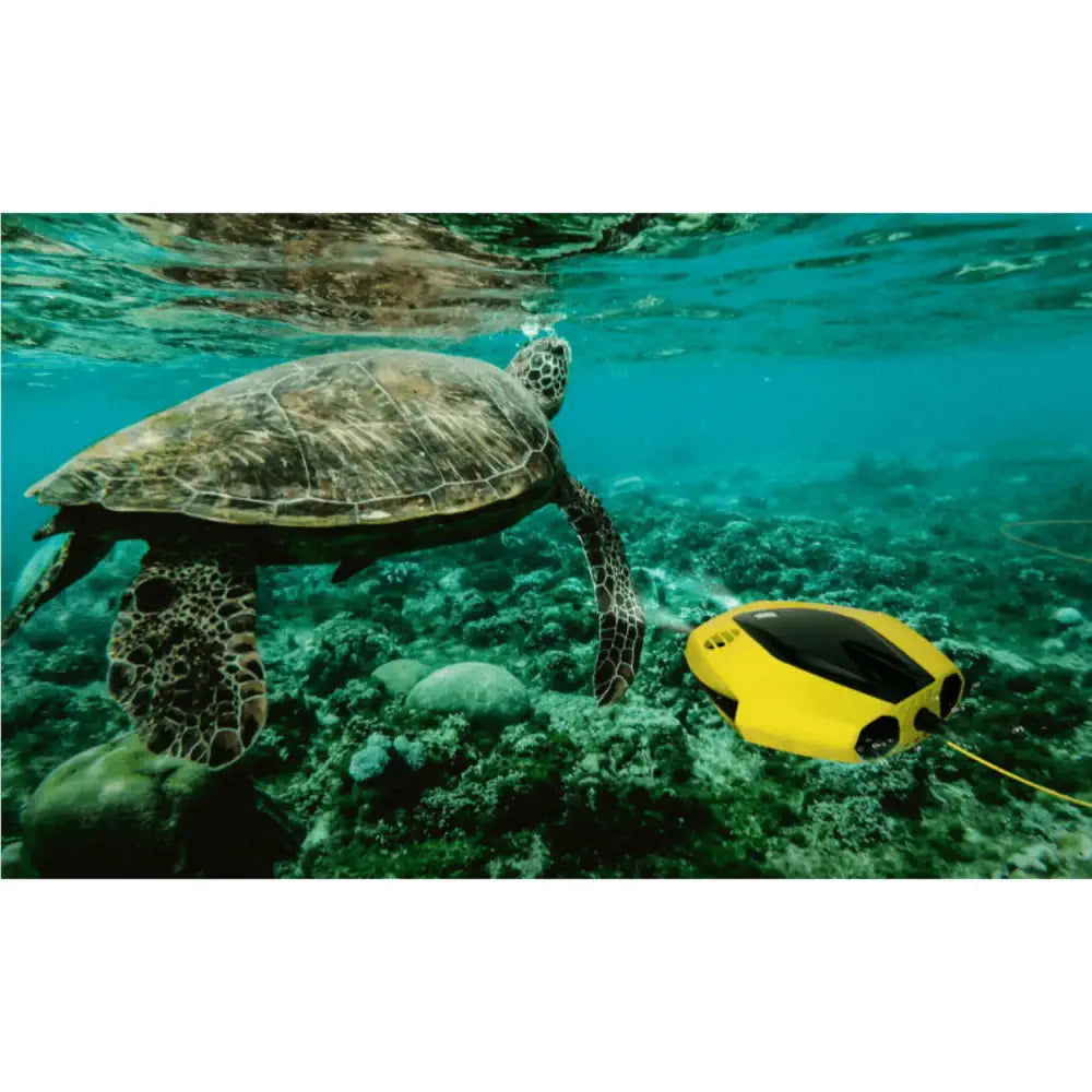 Chasing Dory Underwater Drone Flash Pack