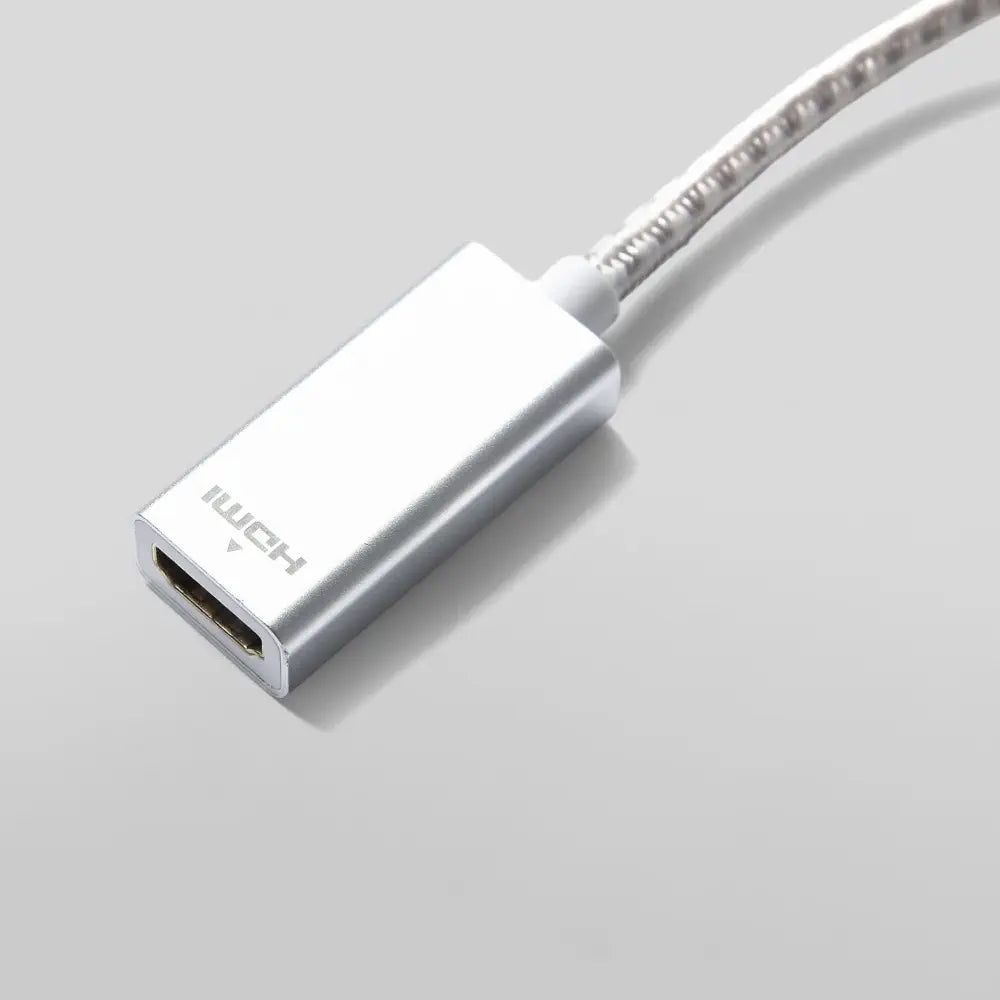 IceWhale Mini DisplayPort to HDMI Cable 1080P