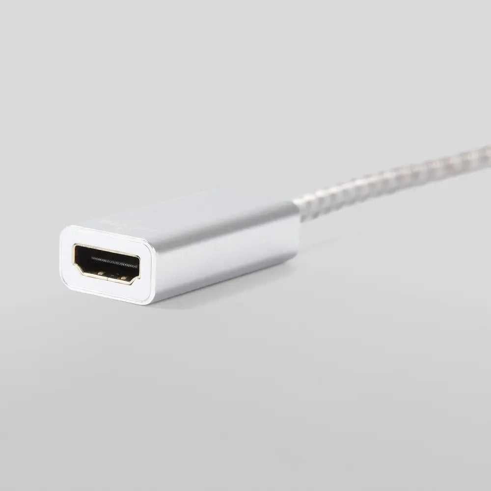 IceWhale Mini DisplayPort to HDMI Cable 1080P