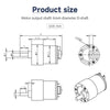 Yahboom 520 DC Gear Motor with Encoder 550RPM(1:19)-Motor+Bracket+Coupling
