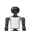 Booster Robotics K1 GEEK Humanoid Robot