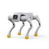 AgiBot D1 Pro Quadruped Robot Dog