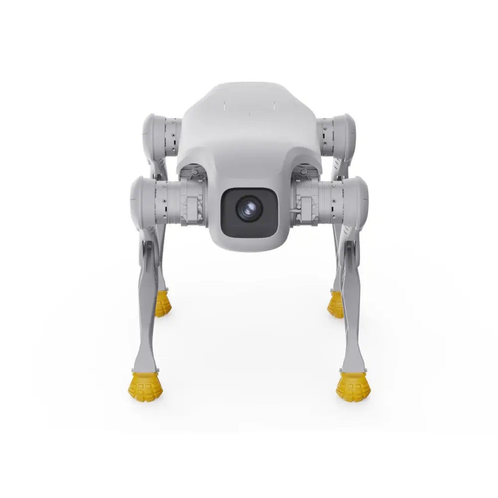 AgiBot D1 EDU Quadruped Robot Dog (Development Edition)