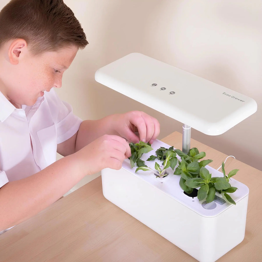 TTS Hydroponic Smart Garden 7-Compartments Indoor Growing System – STEM Learning Plant Growth Kit for Classroom, Office &amp; Home Science Use