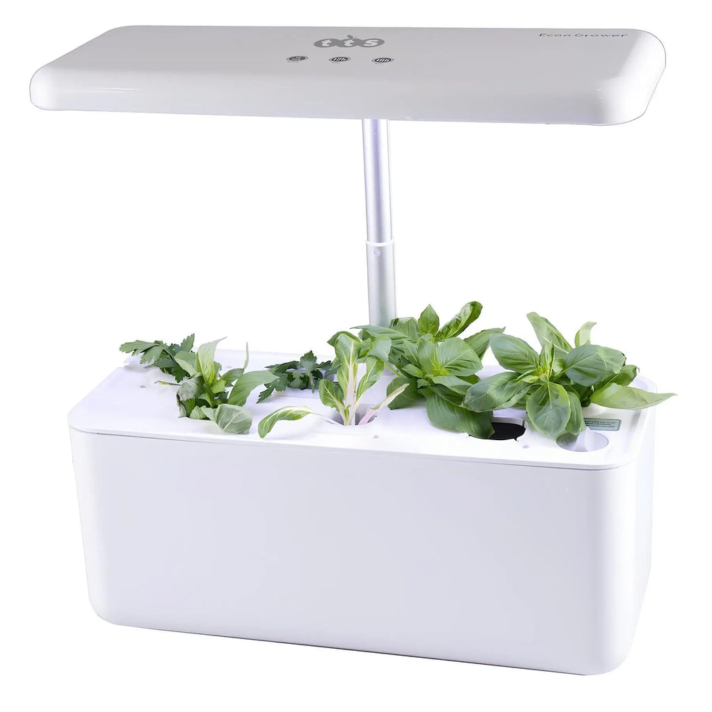 TTS Hydroponic Smart Garden 7-Compartments Indoor Growing System – STEM Learning Plant Growth Kit for Classroom, Office &amp; Home Science Use