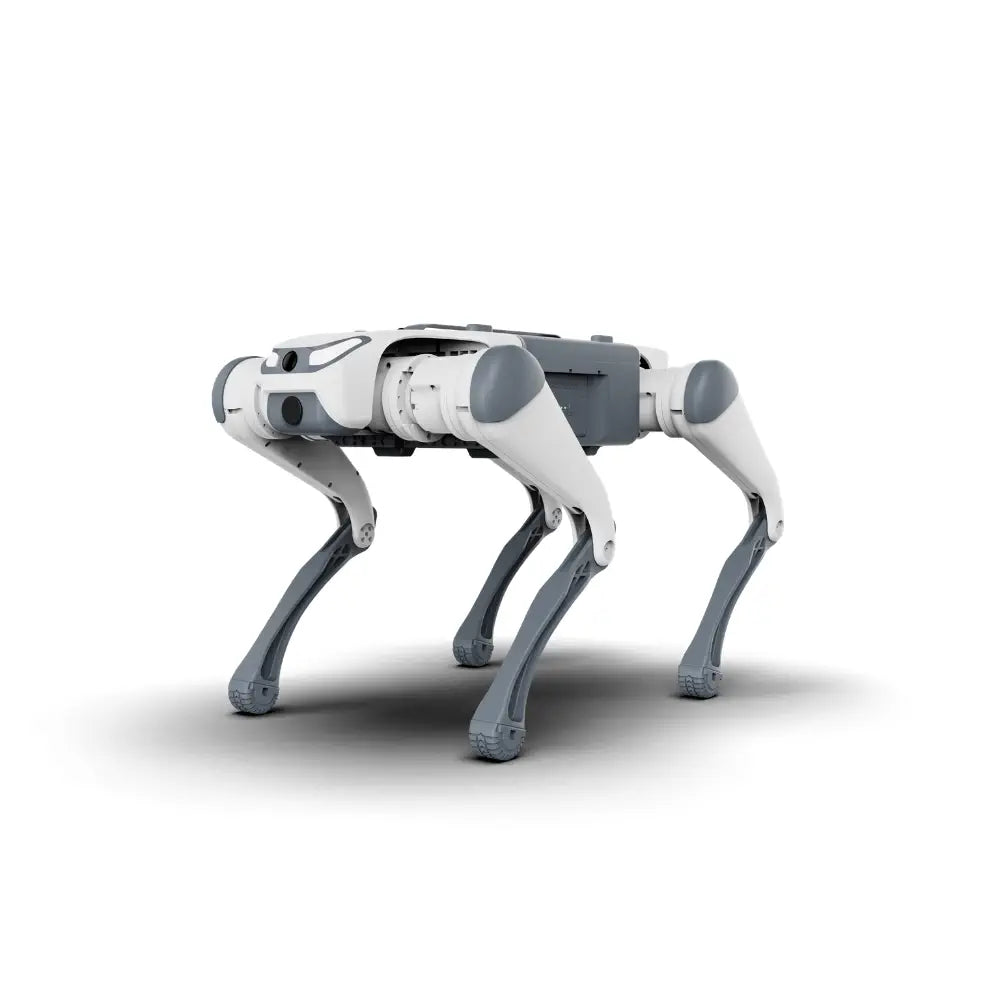 Deep Robotics Lite3 Basic Quadruped Robot