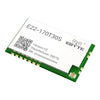 E22-170T30S LoRa spread spectrum module Support serial port firmware uparade