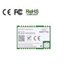 E22-900M22S Ebyte TCXO 22dBm 6500m SX1262 900Mhz New LoRa Module SMD Wireless Transceiver Module