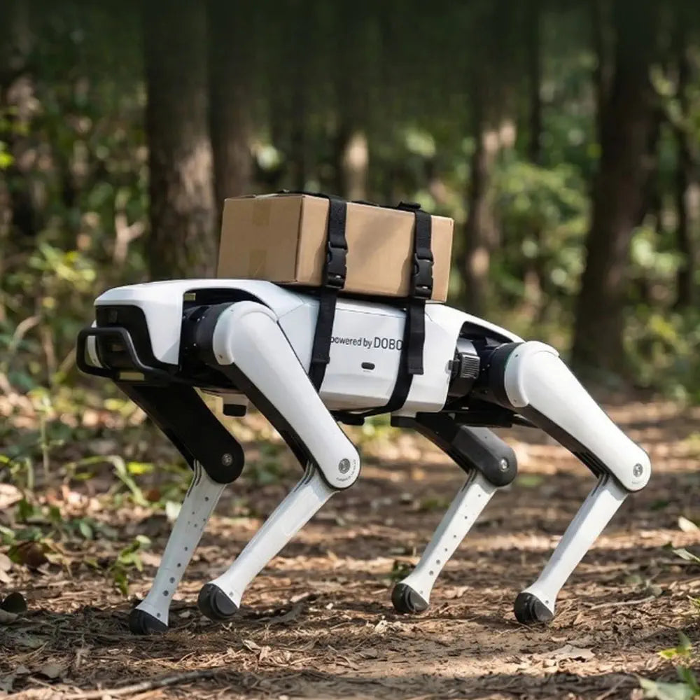 Dobot Rover X1 Explorer Sentinel Quadruped Robot